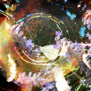 Nectar A Fine Art Abstract Painting Print Or Poster